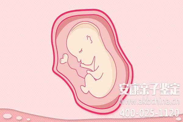 胎监的时候可以同时做胎儿亲子鉴定吗（胎监检查什么） 